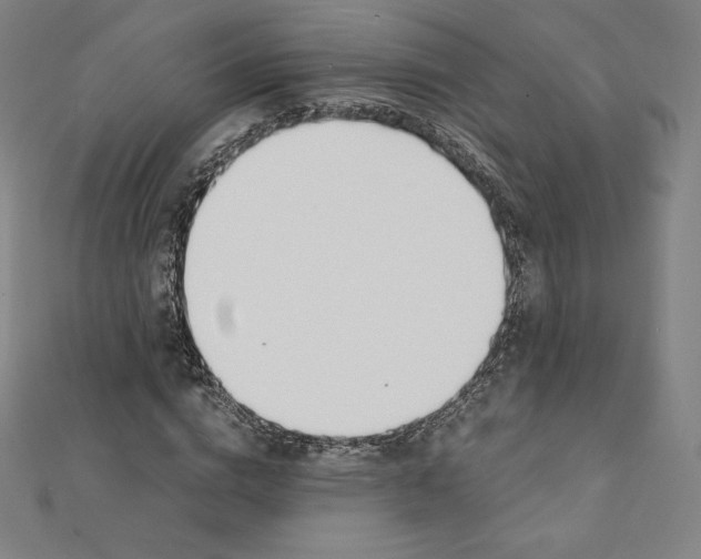 X0000111430824200908241119