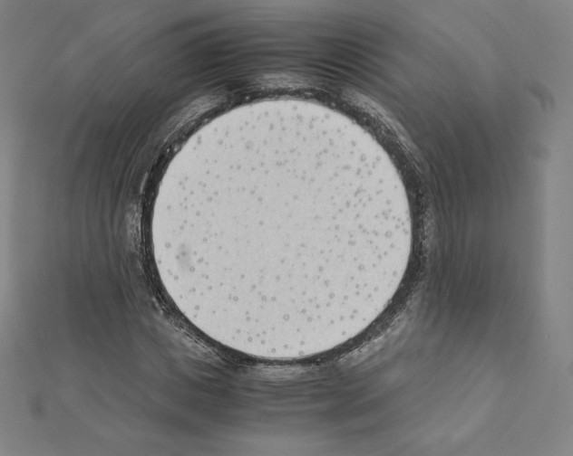 X0000111430825200908241119