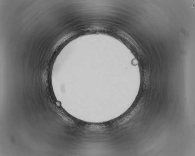 X0000111430826200908241119