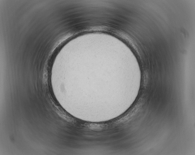 X0000111430827200908241119