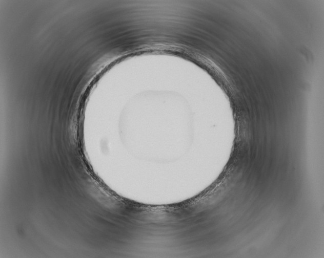 X0000111430828200908241119