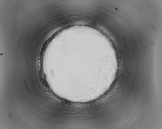 X0000111430829200908241119