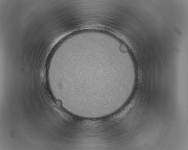 X0000111430830200908241119