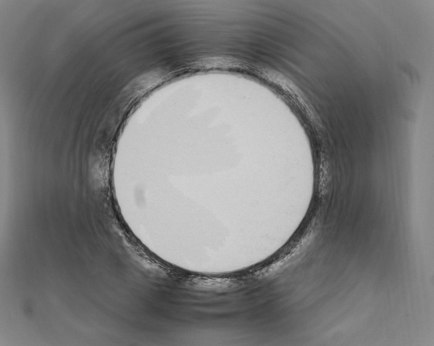 X0000111430833200908241119
