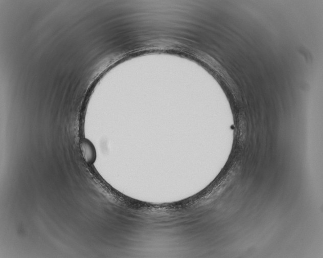 X0000111430834200908241119