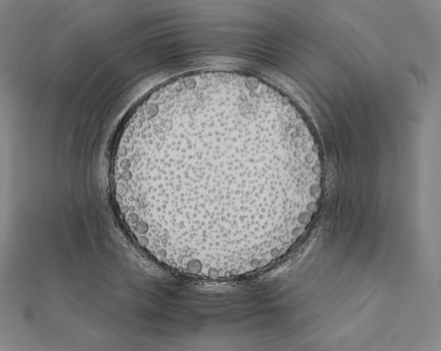X0000111430835200908241119