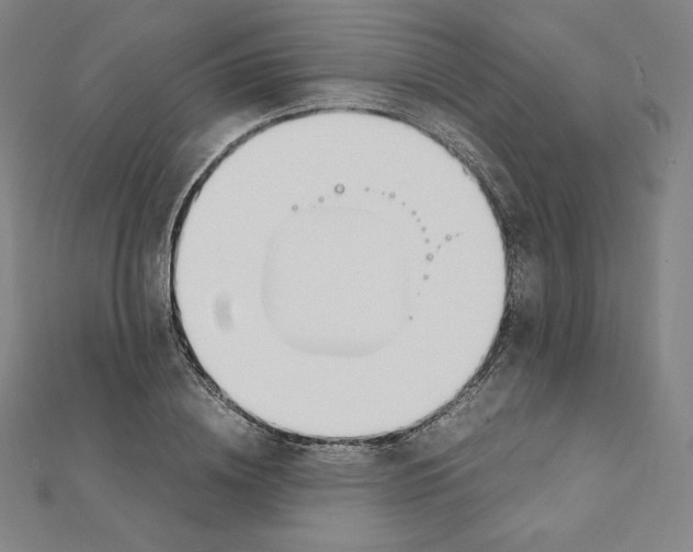 X0000111430836200908241119