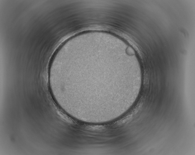 X0000111430837200908241119