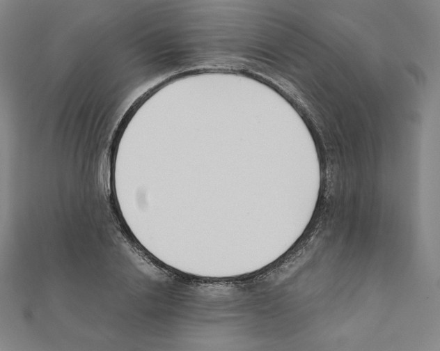 X0000111430838200908241119
