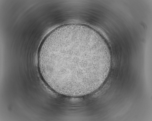 X0000111430839200908241119