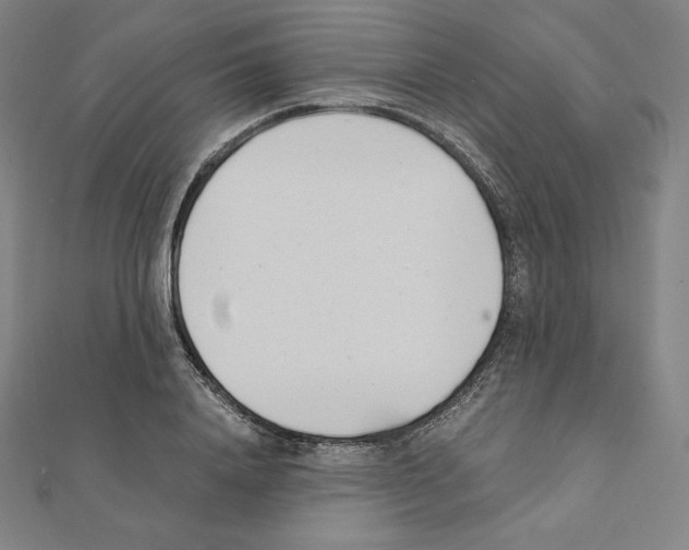 X0000111430840200908241119