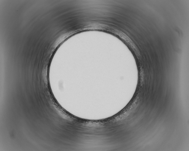 X0000111430842200908241120