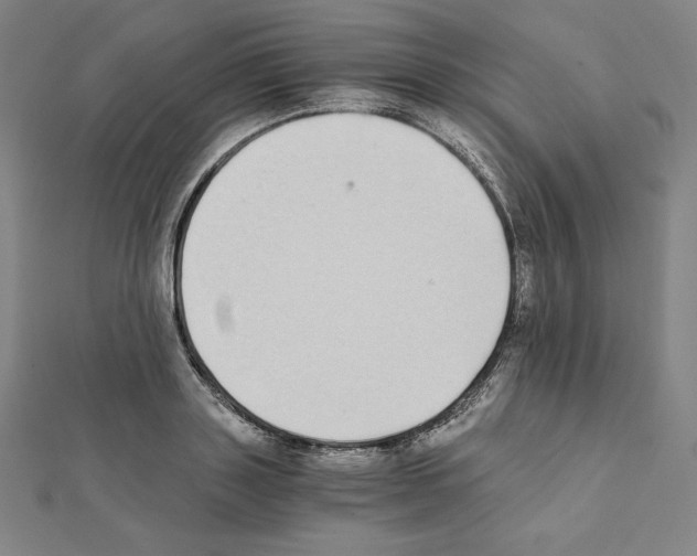 X0000111430843200908241120
