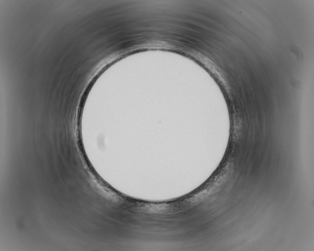 X0000111430845200908241120