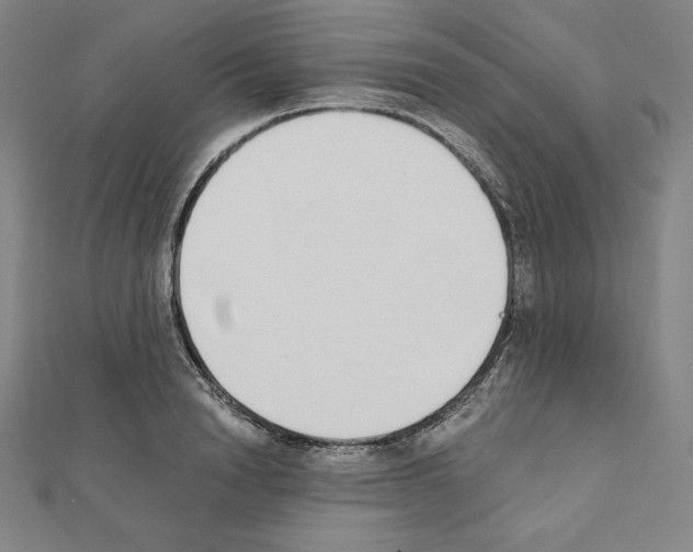X0000111430846200908241120