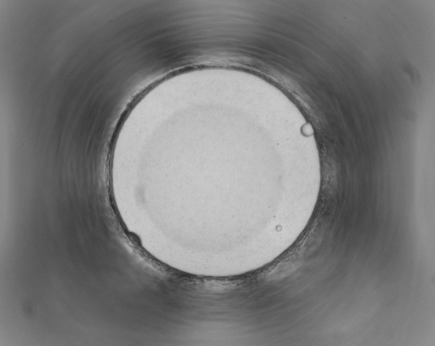 X0000111430848200908241120