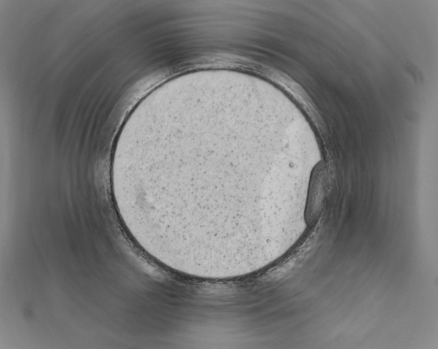 X0000111430850200908241120