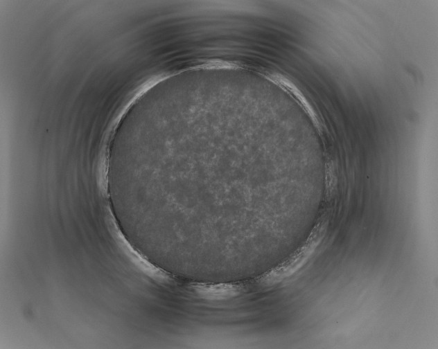 X0000111430851200908241120