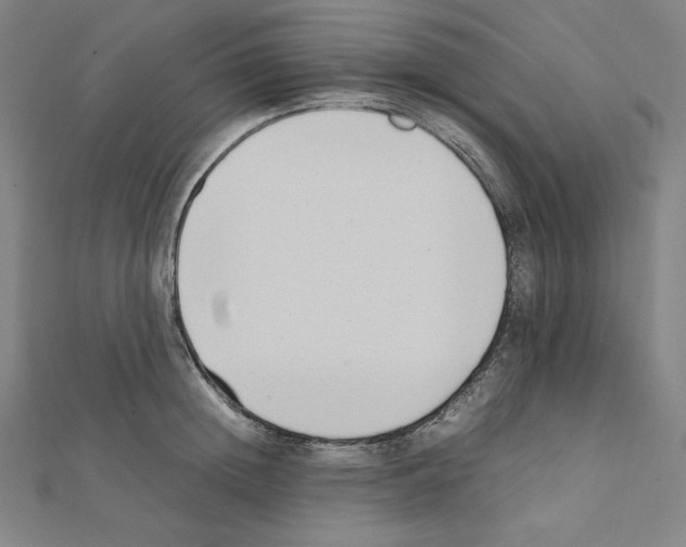 X0000111430852200908241120