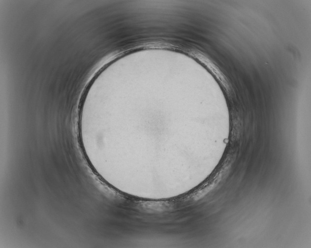 X0000111430853200908241120