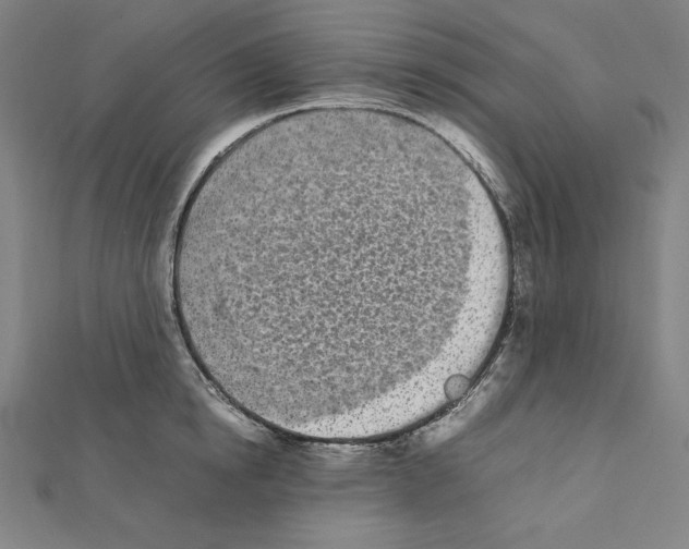 X0000111430854200908241120