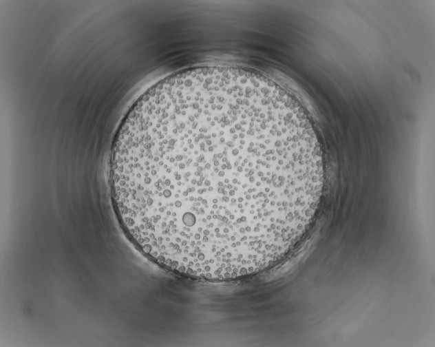 X0000111430855200908241120