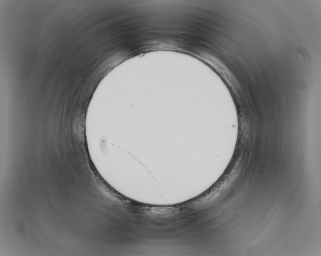 X0000111430857200908241120