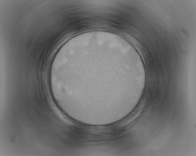X0000111430859200908241120