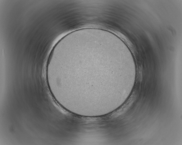 X0000111430862200908241120