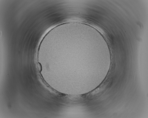X0000111430864200908241120