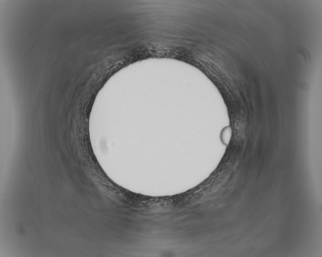 X0000111430865200908241119