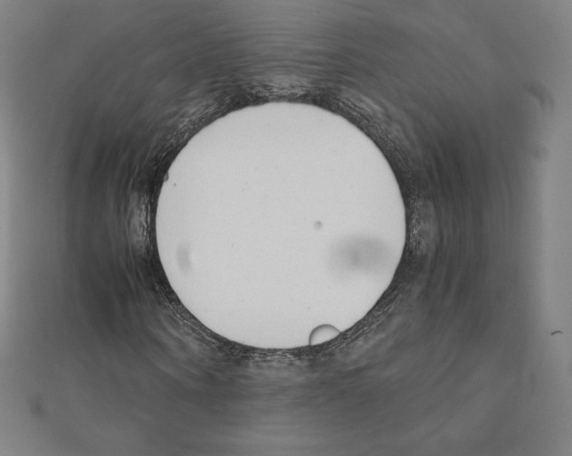 X0000111430866200908241119