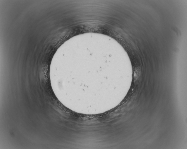 X0000111430867200908241119