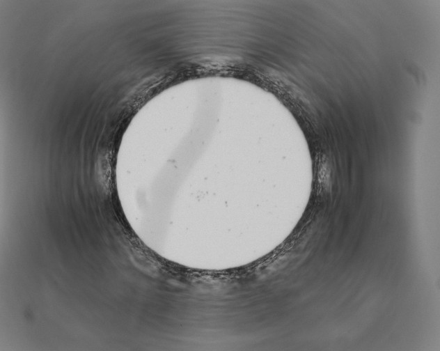 X0000111430868200908241119