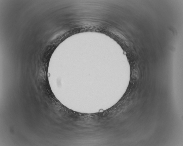 X0000111430869200908241119