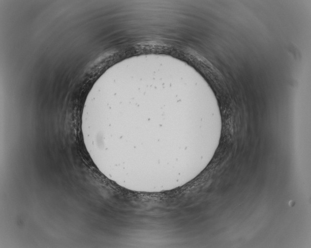 X0000111430870200908241119
