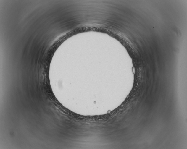 X0000111430872200908241119