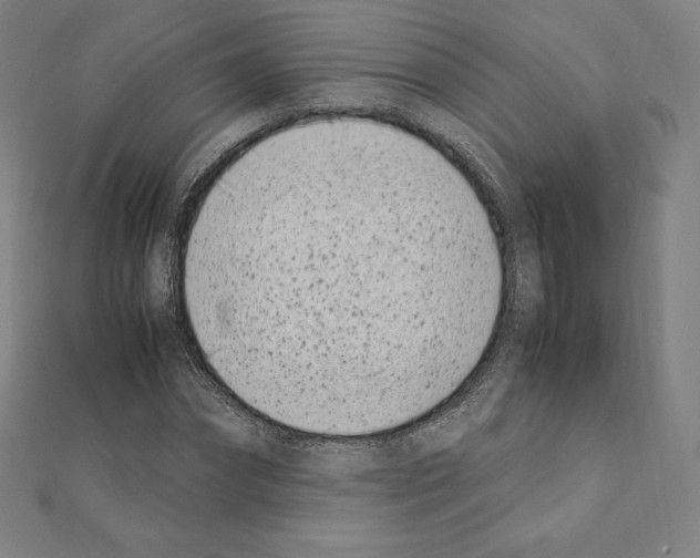 X0000111430874200908241119