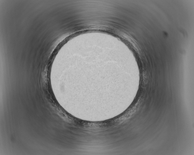 X0000111430875200908241119