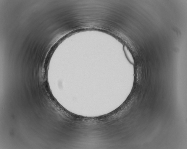 X0000111430876200908241119