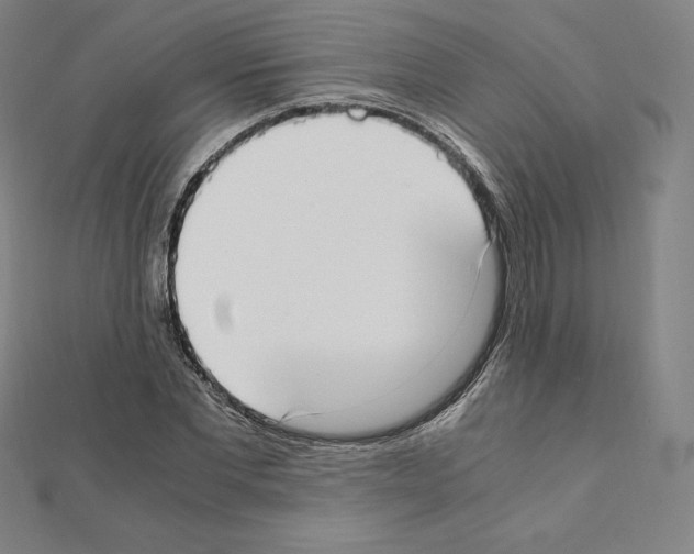 X0000111430877200908241119