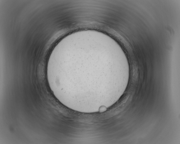 X0000111430878200908241119