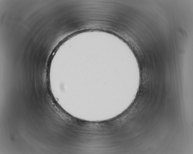 X0000111430880200908241119