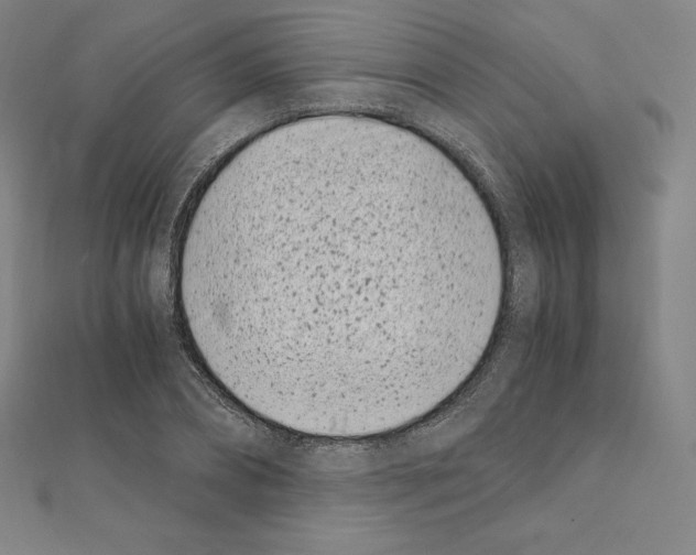 X0000111430882200908241119