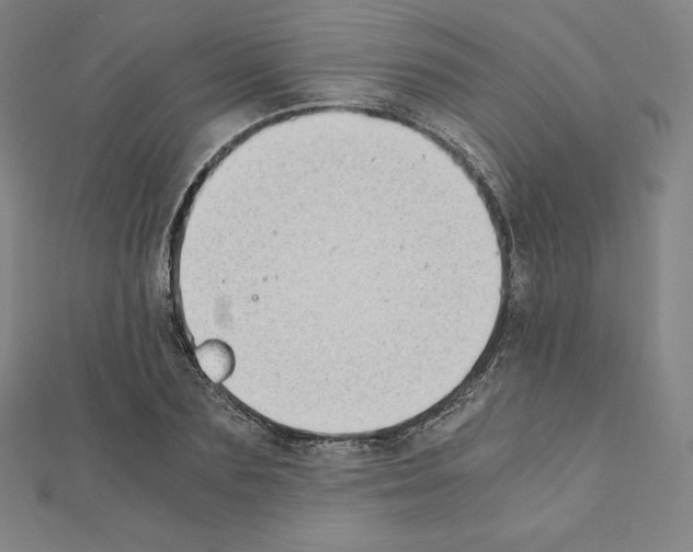 X0000111430883200908241119