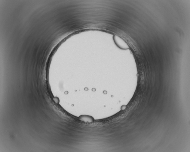X0000111430884200908241119