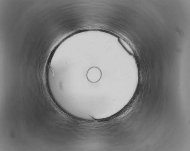 X0000111430885200908241119