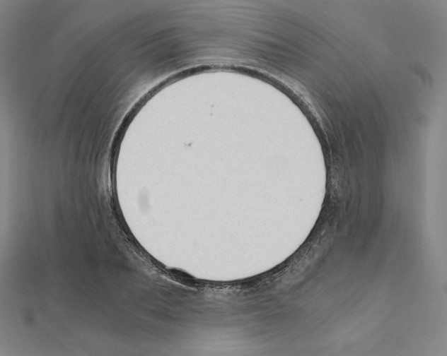 X0000111430887200908241119