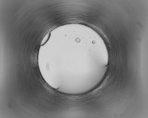 X0000111430889200908241119