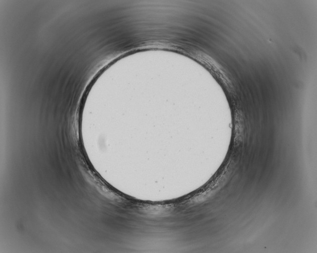 X0000111430892200908241119